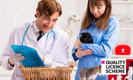 Advanced-Diploma-in-Animal-Care-Level-3
